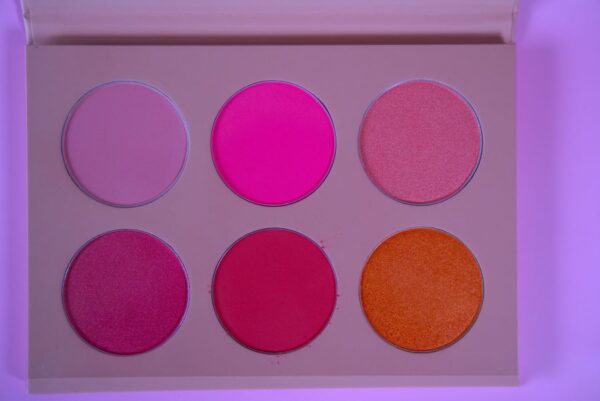 Flirty Blush Palette 6 Colors